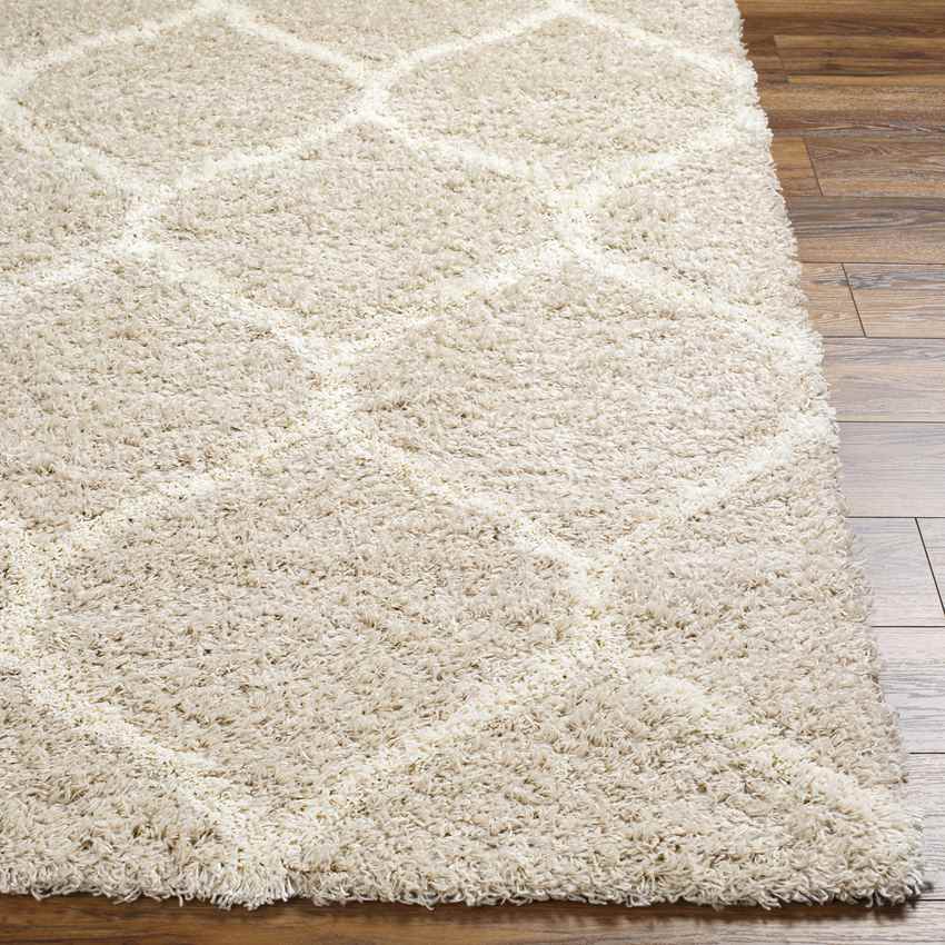 Blockton Cottage Beige Area Rug