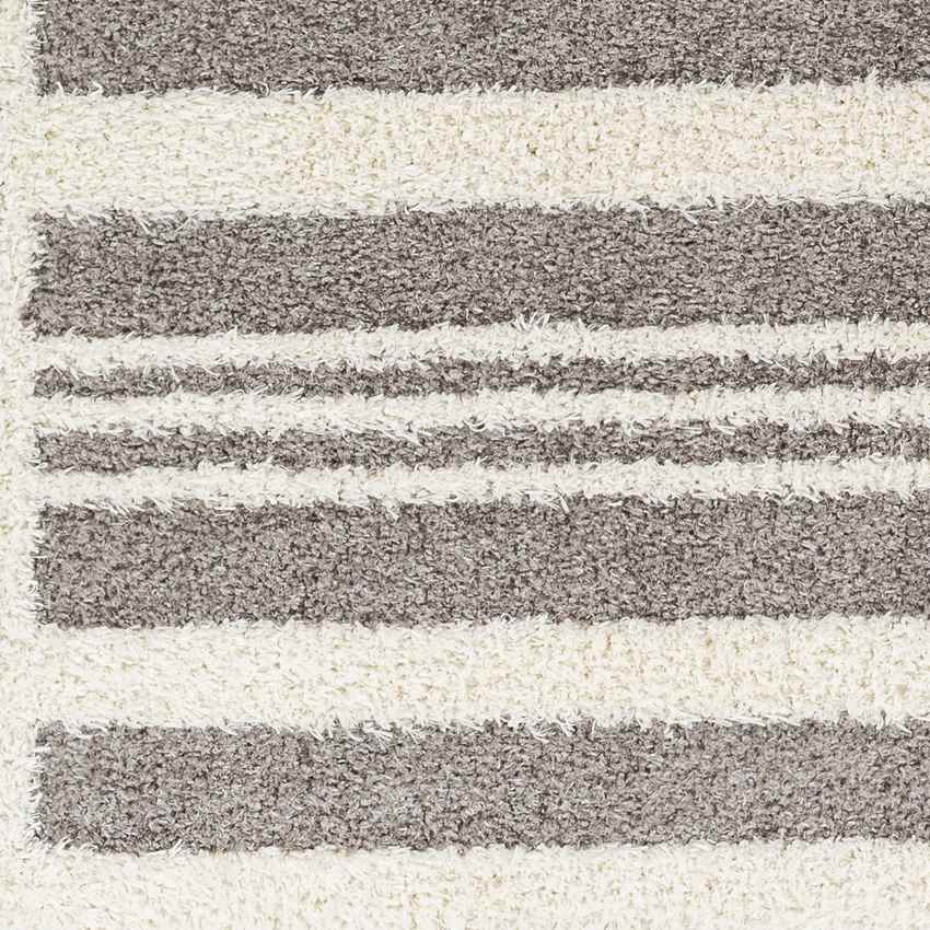 Leitchfield Modern Gray Area Rug