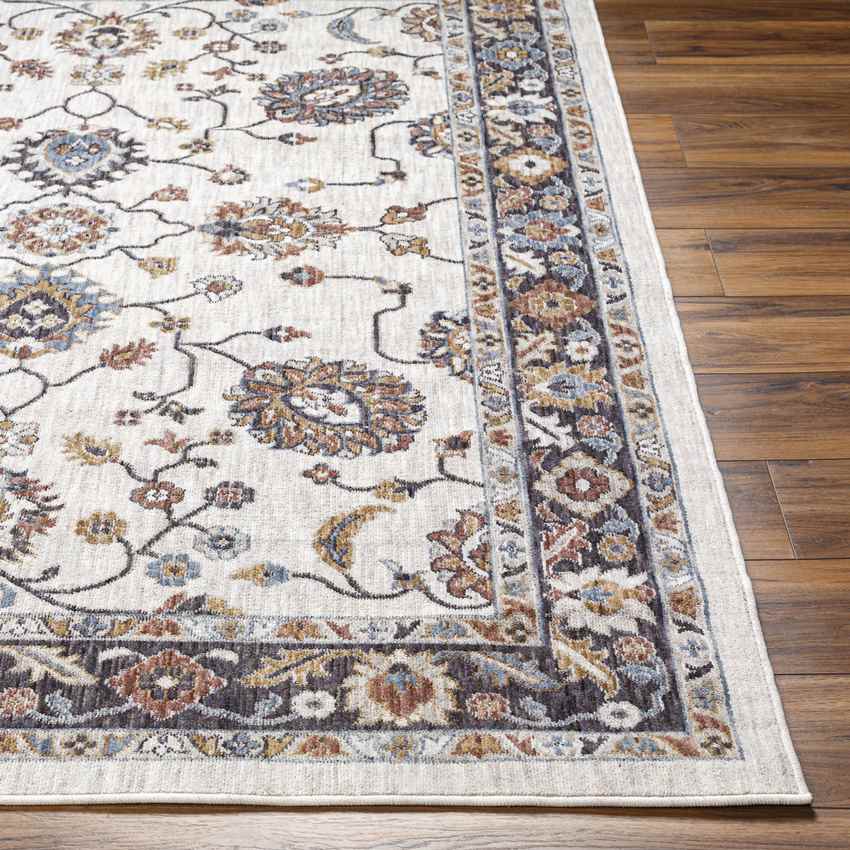 Mortons Gap Traditional Beige Area Rug