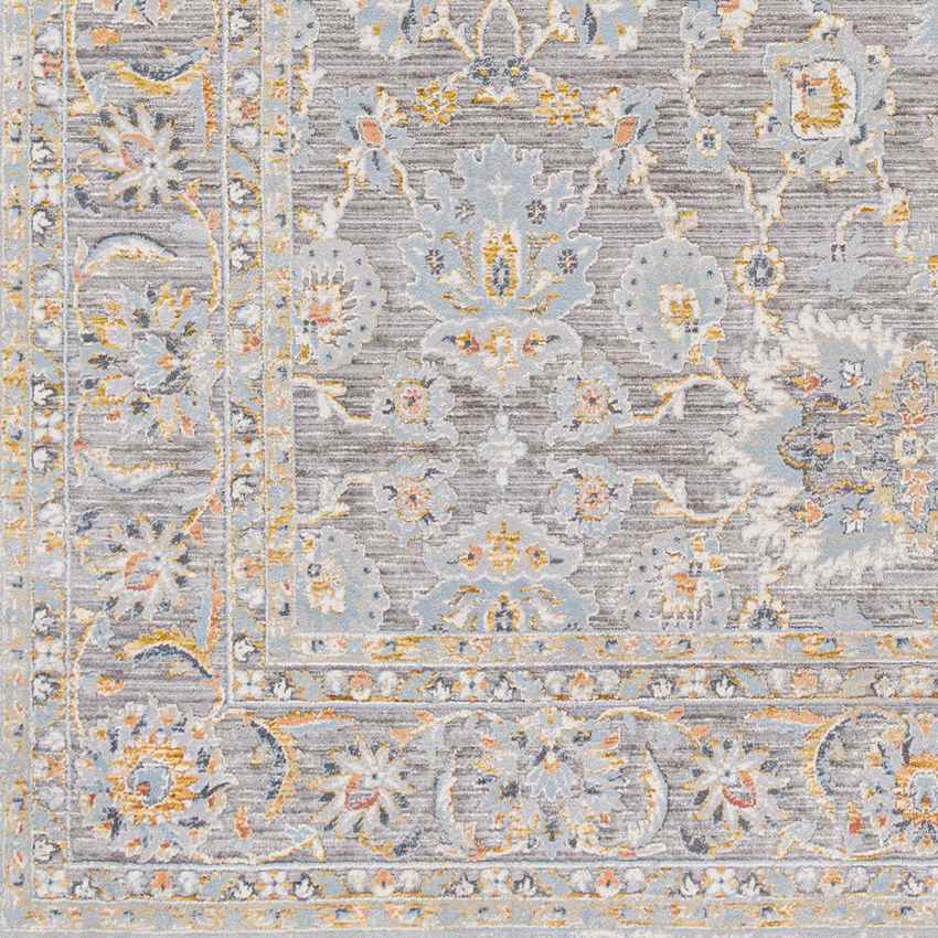 Mekia Traditional Medium Gray Area Rug