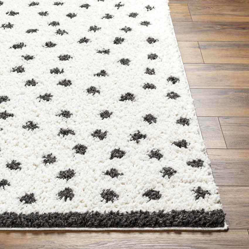 Aerica Modern Ivory/Dark Gray Area Rug
