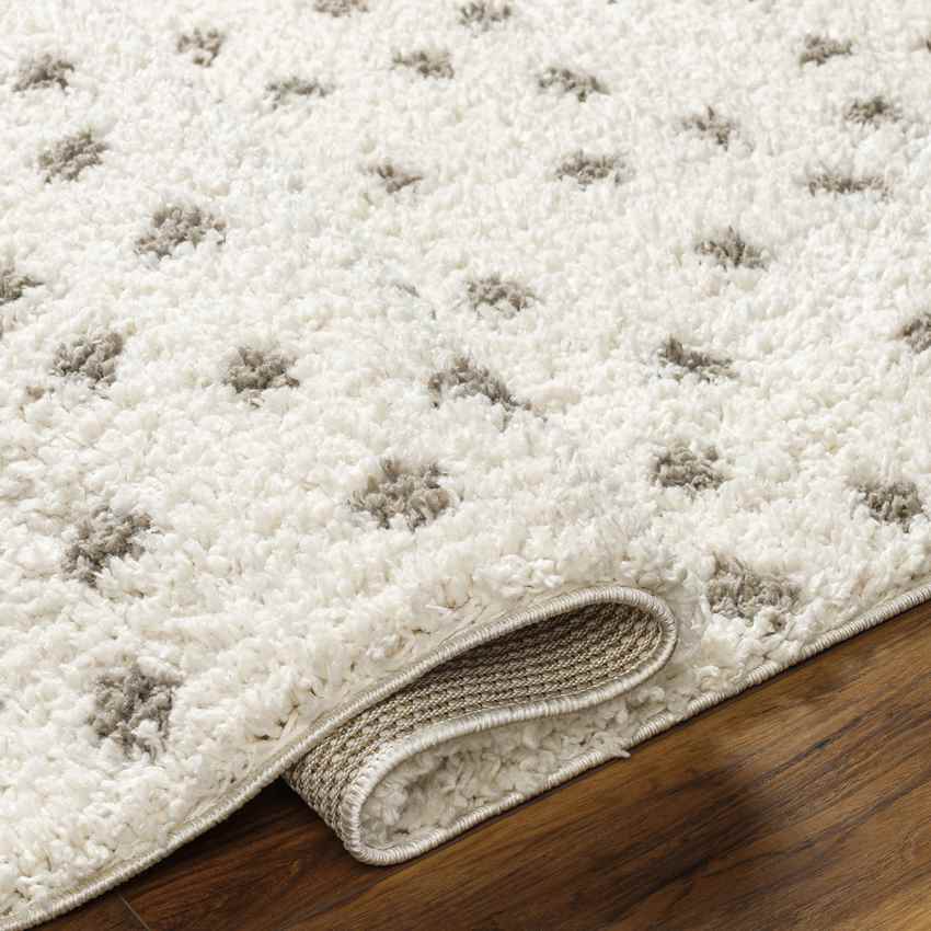 Aerica Modern Ivory/Camel Area Rug