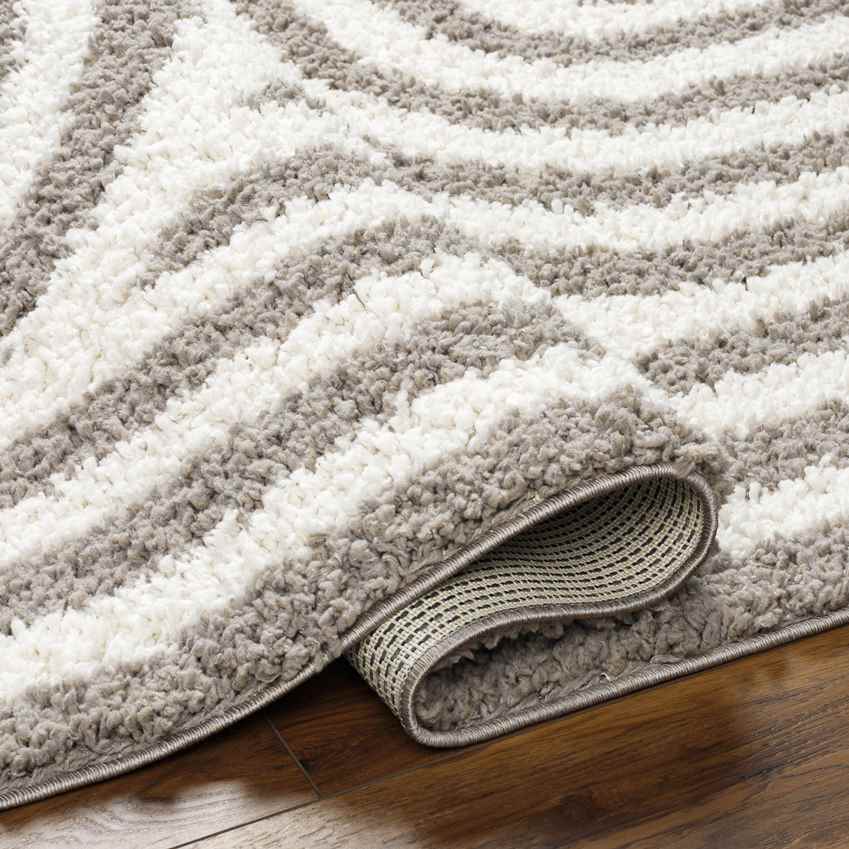 Toshiba Modern Ivory/Dark Brown Area Rug