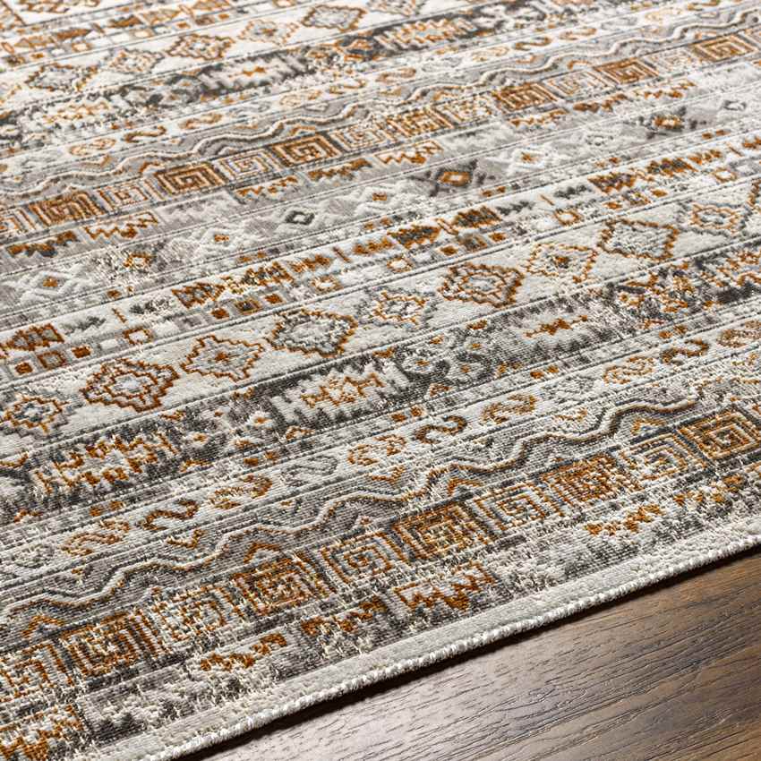 Shardey Rustic Burnt Orange/Ivory Area Rug