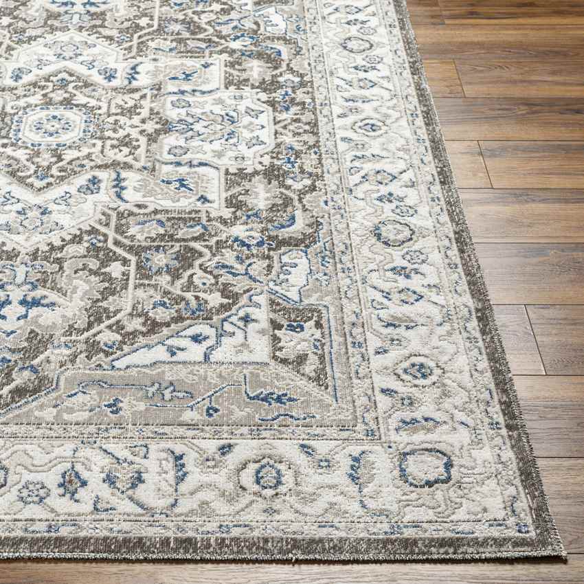 Kortny Traditional Cobalt/Dark Brown Area Rug