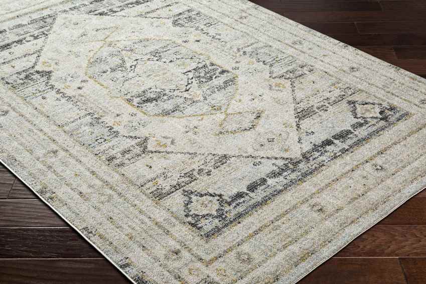 Javonte Traditional Light Beige/Pale Blue Area Rug