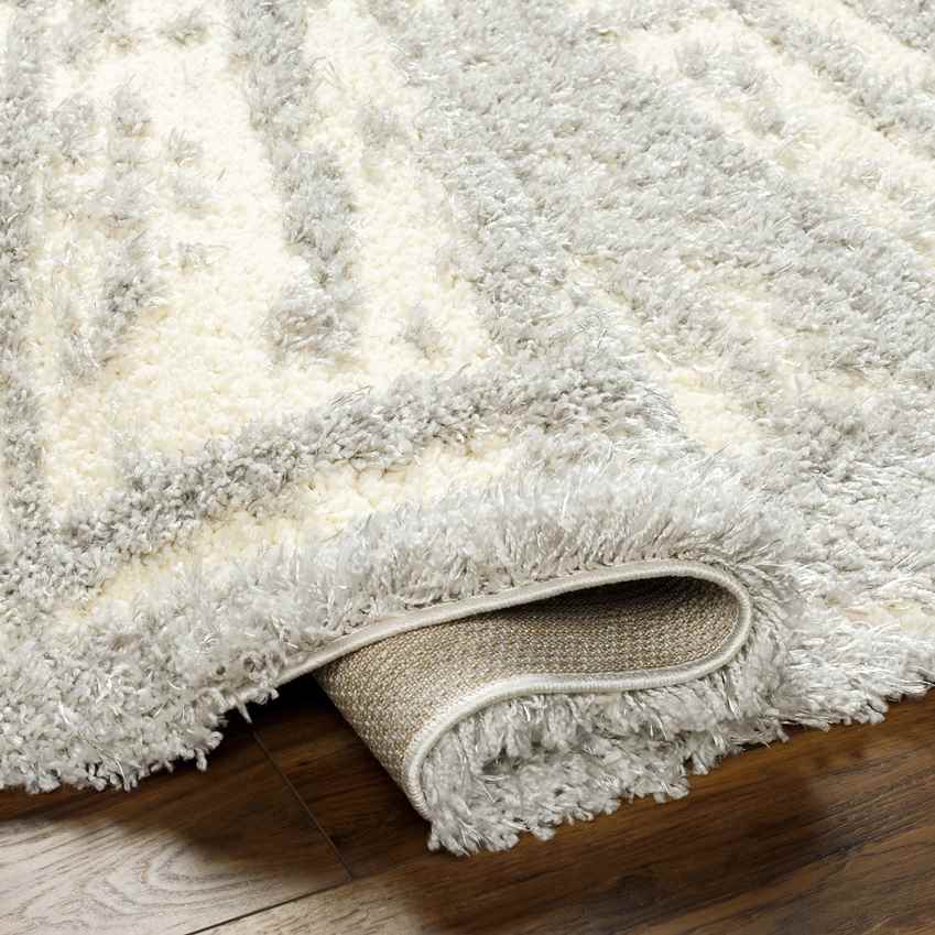 Takendra Modern Light Gray/Cream Area Rug