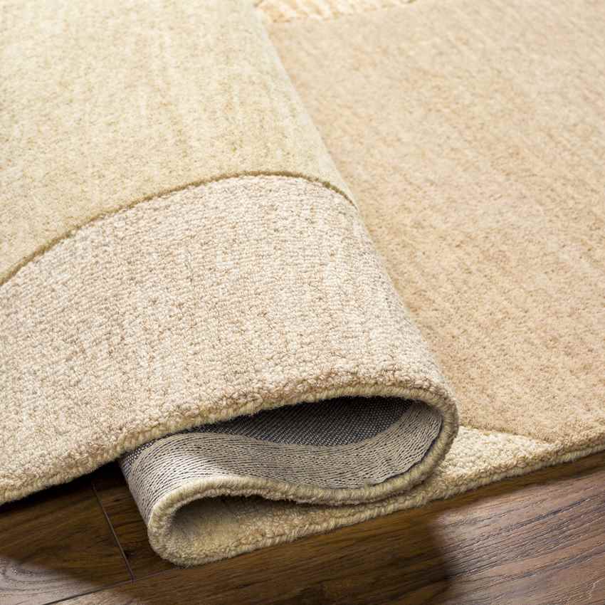 Nicolina Modern Clay Area Rug