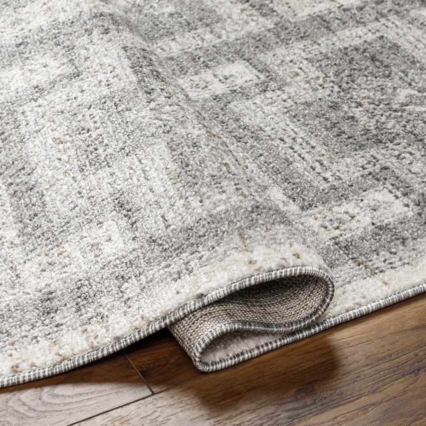Amaris Global Light Gray Area Rug