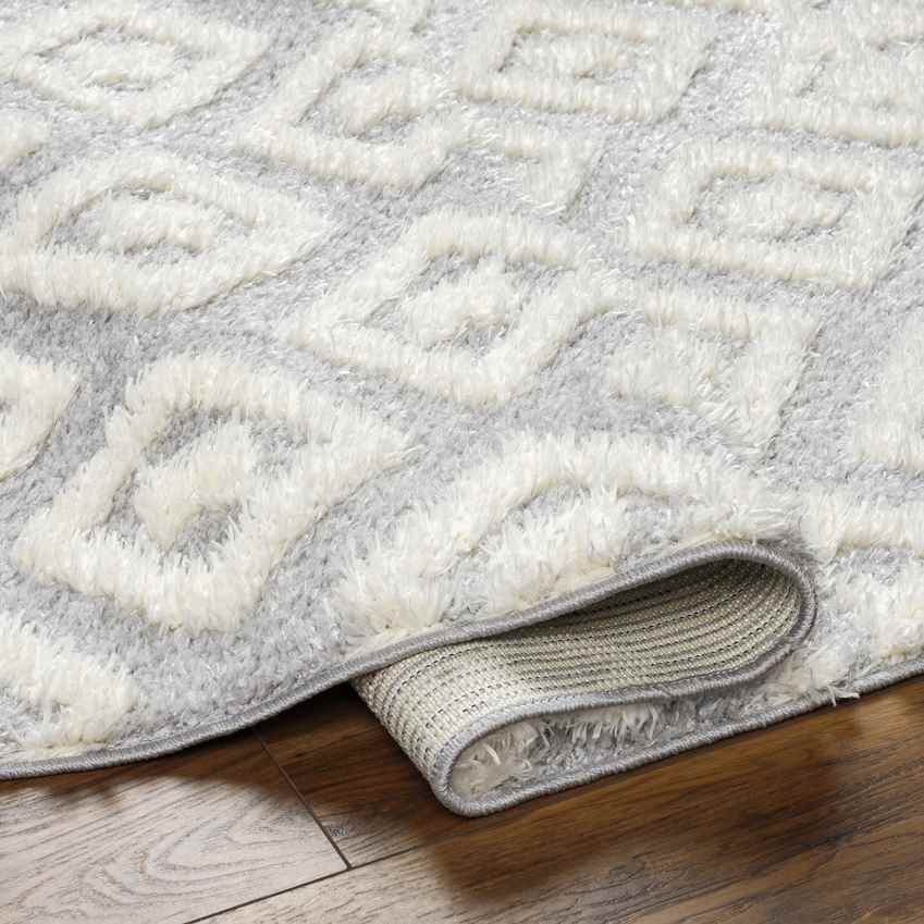 Shatora Modern Light Gray Area Rug