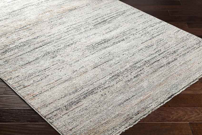 Jhoanna Modern Beige Area Rug