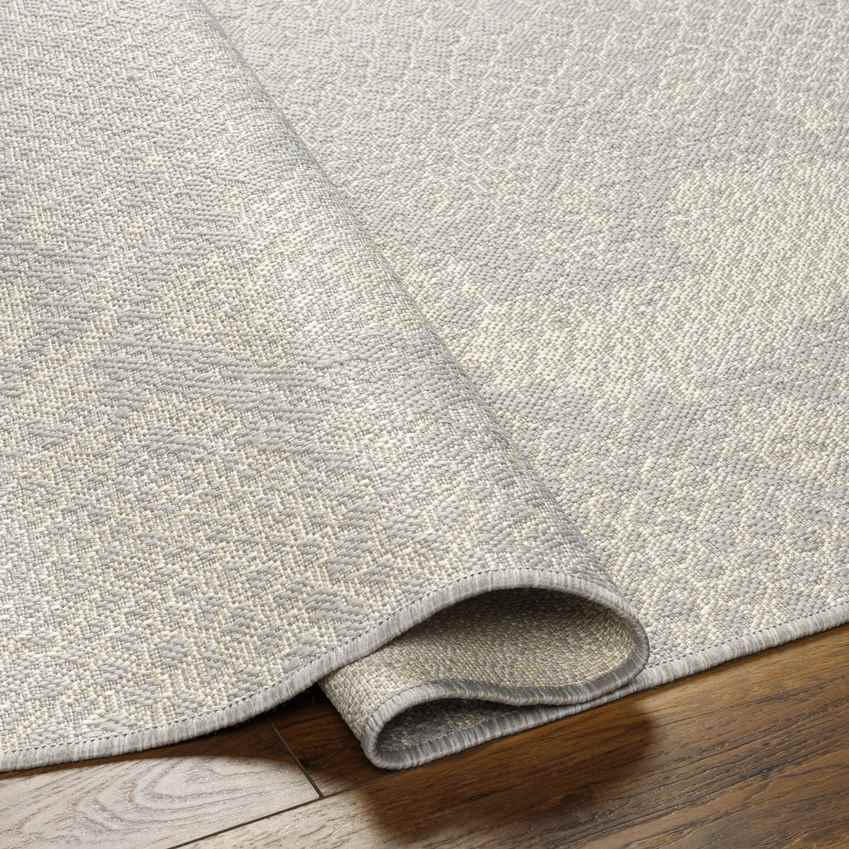 Krysten Modern Light Gray/Beige Area Rug
