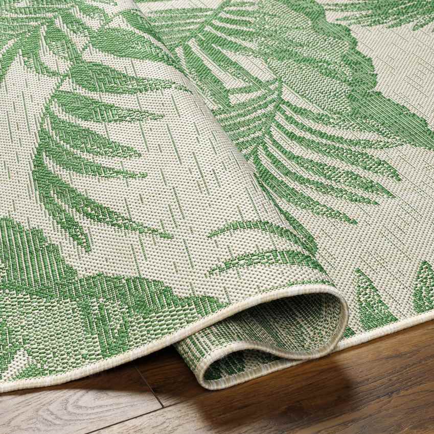 Kalenna Coastal Forest Green Area Rug