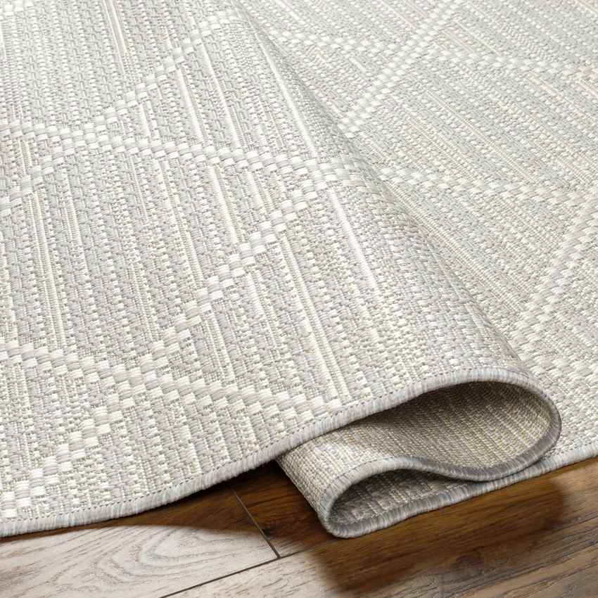 Jamiel Modern Light Gray/Cream Area Rug