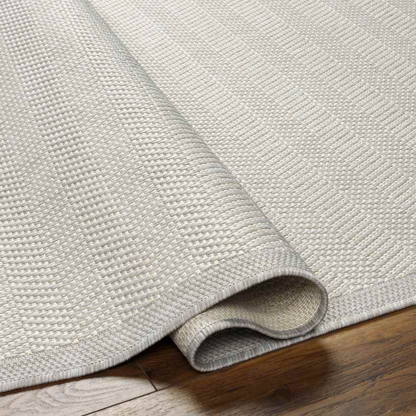 Season Modern Light Gray/Ivory Area Rug