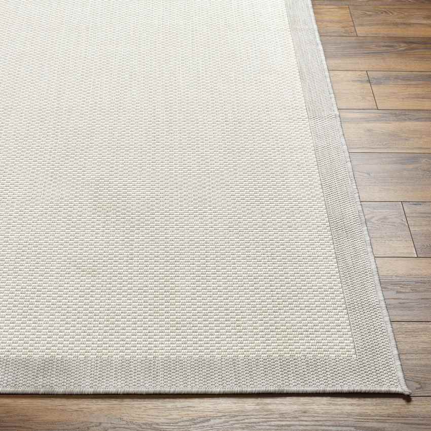 Vander Modern Light Gray/Cream Area Rug