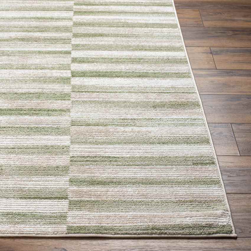 Jonthan Modern Moss/Beige Area Rug