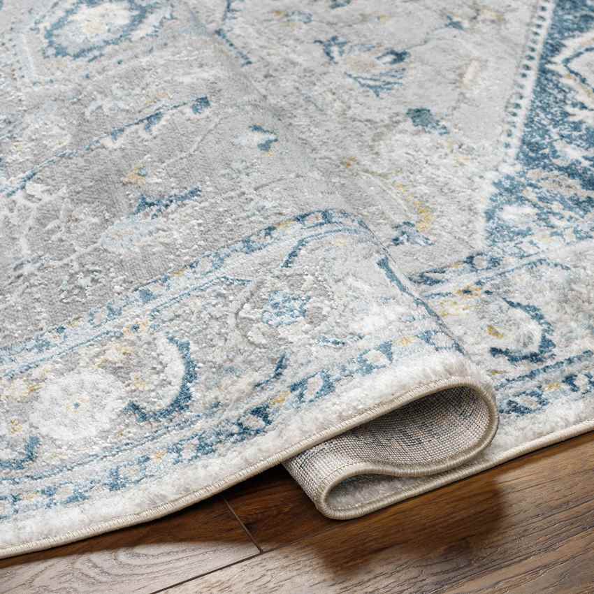 Jessyca Traditional Dark Teal/Silver Gray Area Rug