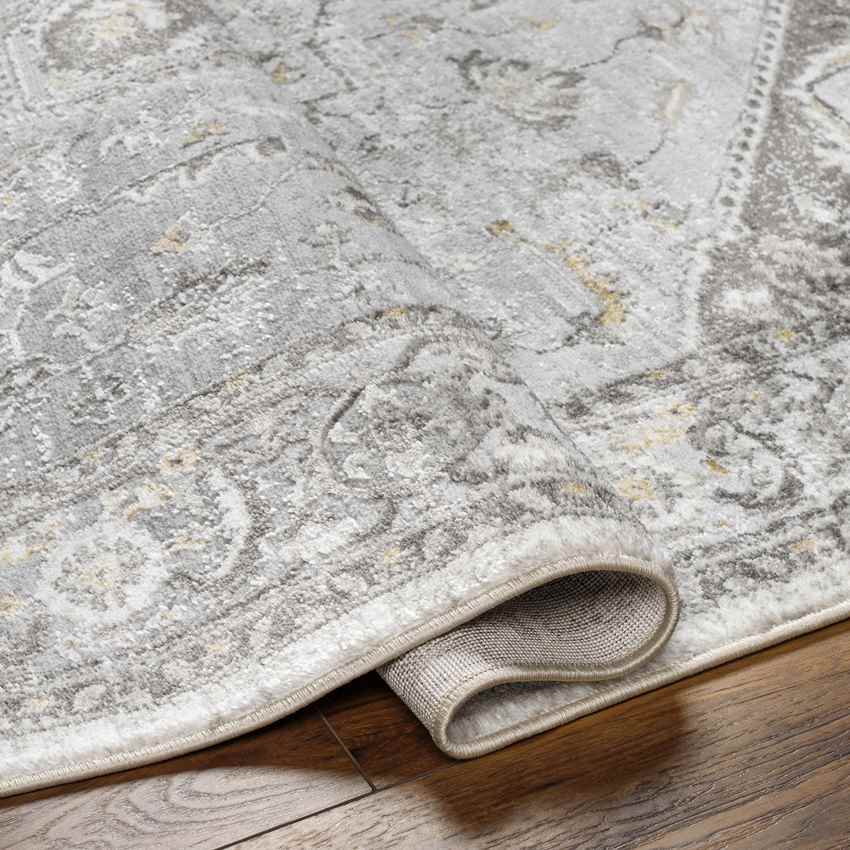 Jessyca Traditional Silver Gray Area Rug