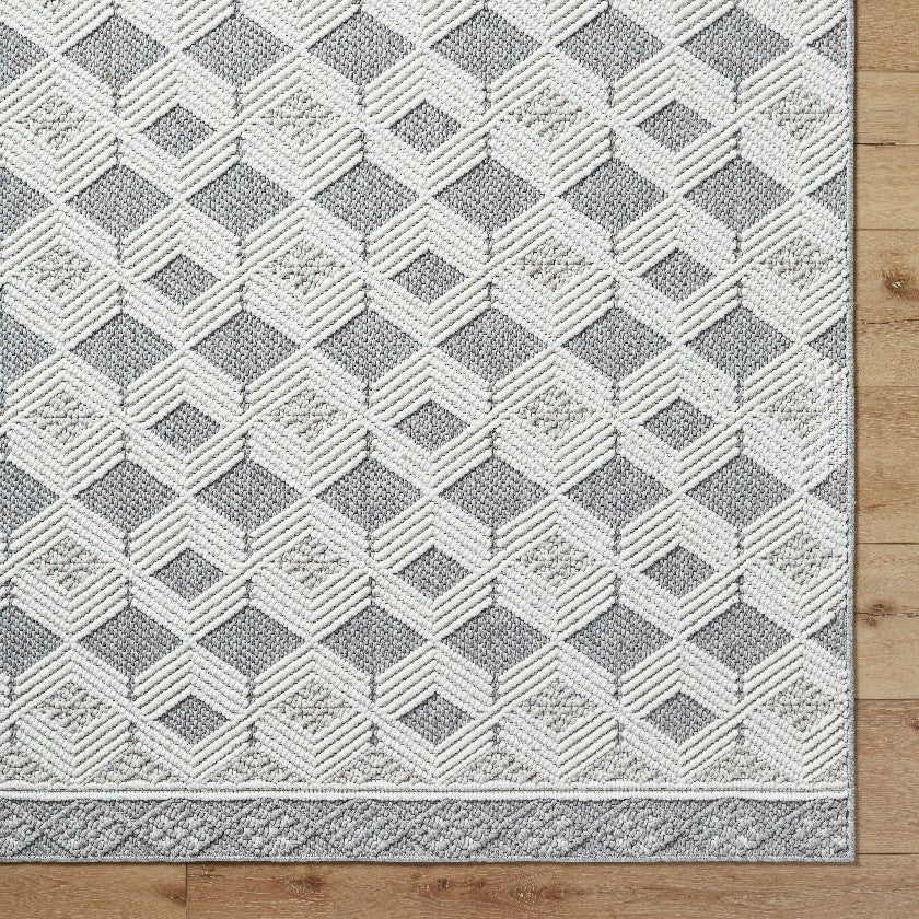 Aryan Modern Light Gray Area Rug