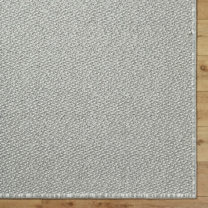 Deniz Solid and Border Light Gray Area Rug