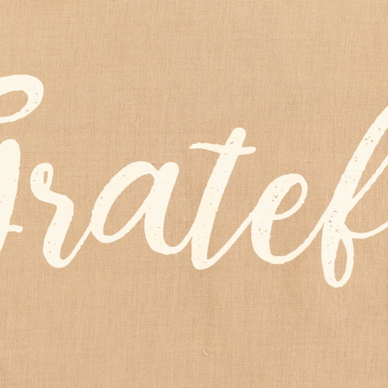 Geetbets Tan Pillow Cover