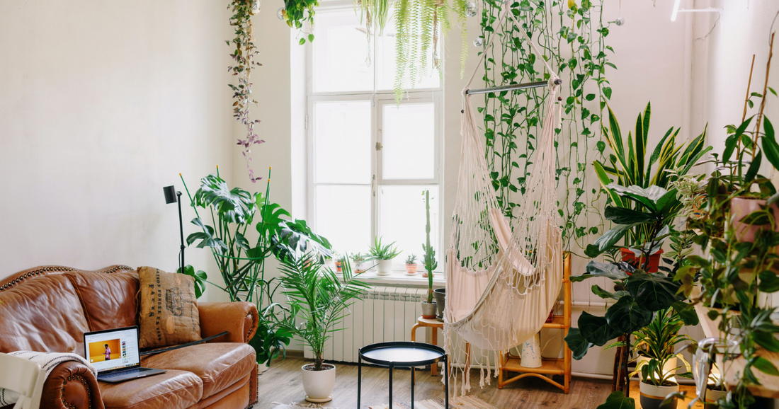 A bohemian home decorated for Spring with house plants.