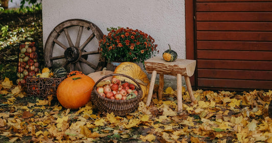 Outdoor fall decor with pumpkins, apples, and multi-colored autumn leaves.