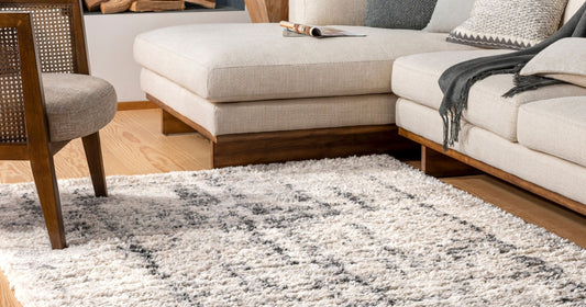 Cozy living room featuring a plush, neutral shag rug beneath a modern sectional.