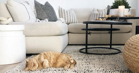 A spacious room decorated with a contemporary rug where a cat is lounging, a beige seating group, a pouf and two coffee tables.