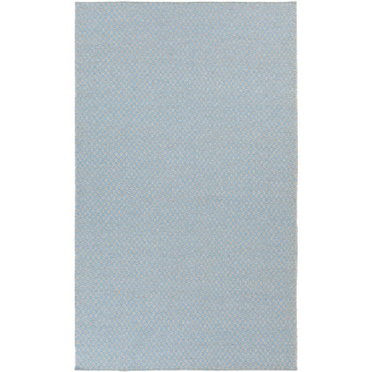 Tranise Cottage Light Gray Area Rug