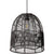 Edwrd Global Black  Ceiling Lighting