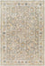 Stepfon Traditional Medium Gray Area Rug