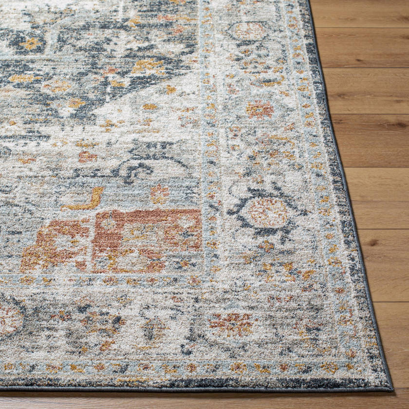 Maretta Traditional Charcoal/Light Gray Area Rug