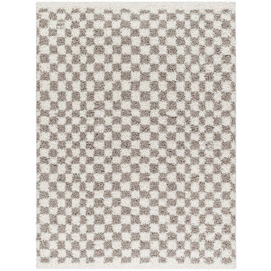 Emmitt Modern Light Gray Area Rug