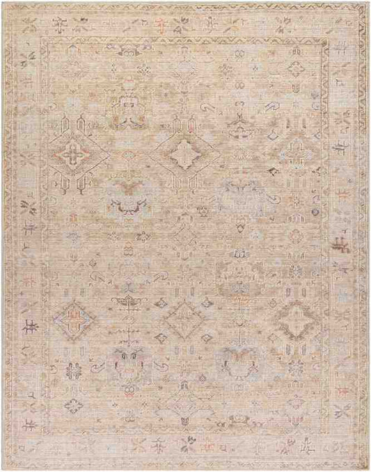 Marlene Traditional Medium Brown Area Rug - Becki Owens x Livabliss