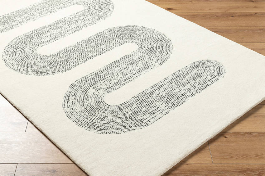 Carla Modern Charcoal Area Rug