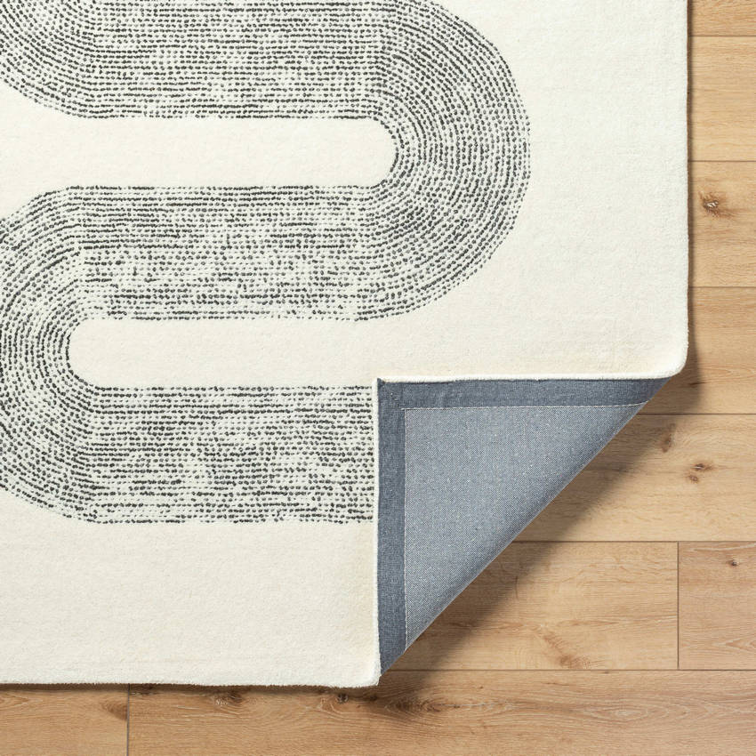 Carla Modern Charcoal Area Rug