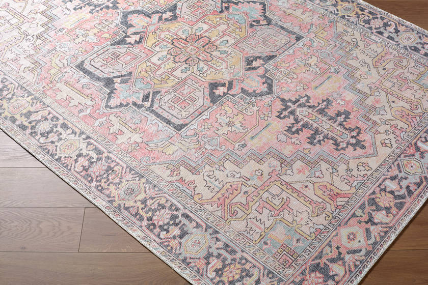 Tamea Traditional Rust/Pale Pink Area Rug
