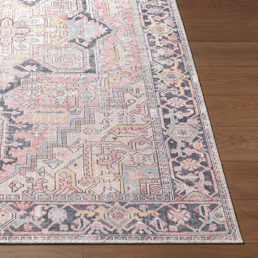 Tamea Traditional Rust/Pale Pink Area Rug