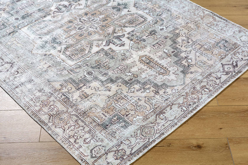 Tamea Traditional Medium Brown/Moss Area Rug