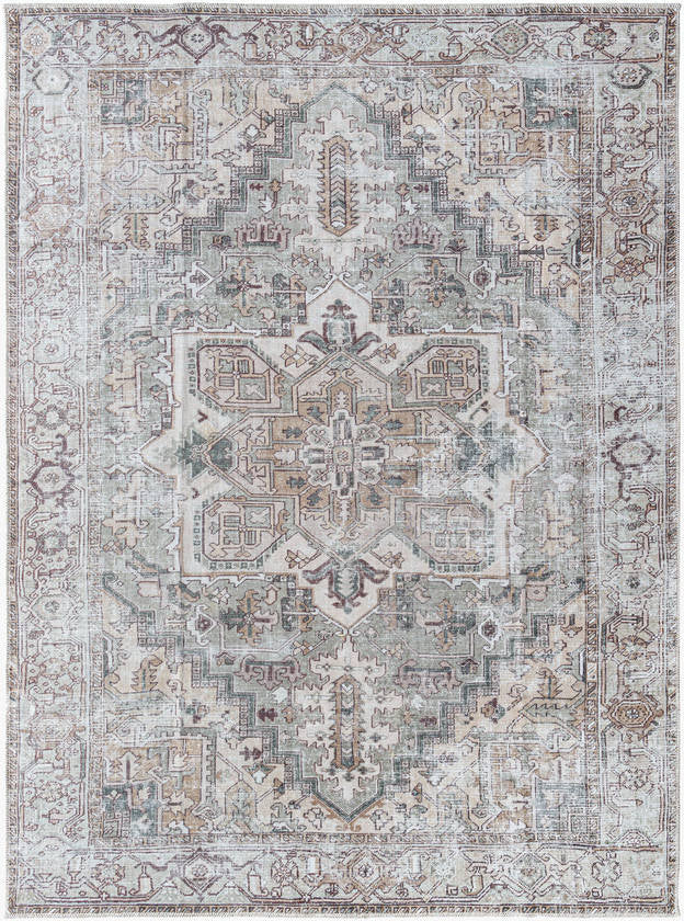 Tamea Traditional Medium Brown/Moss Area Rug