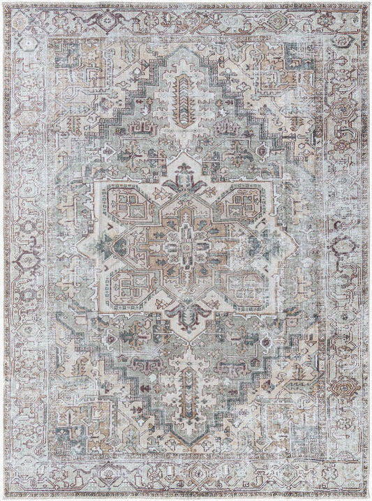 Tamea Traditional Medium Brown/Moss Area Rug