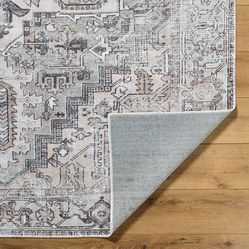 Tamea Traditional Medium Brown/Moss Area Rug