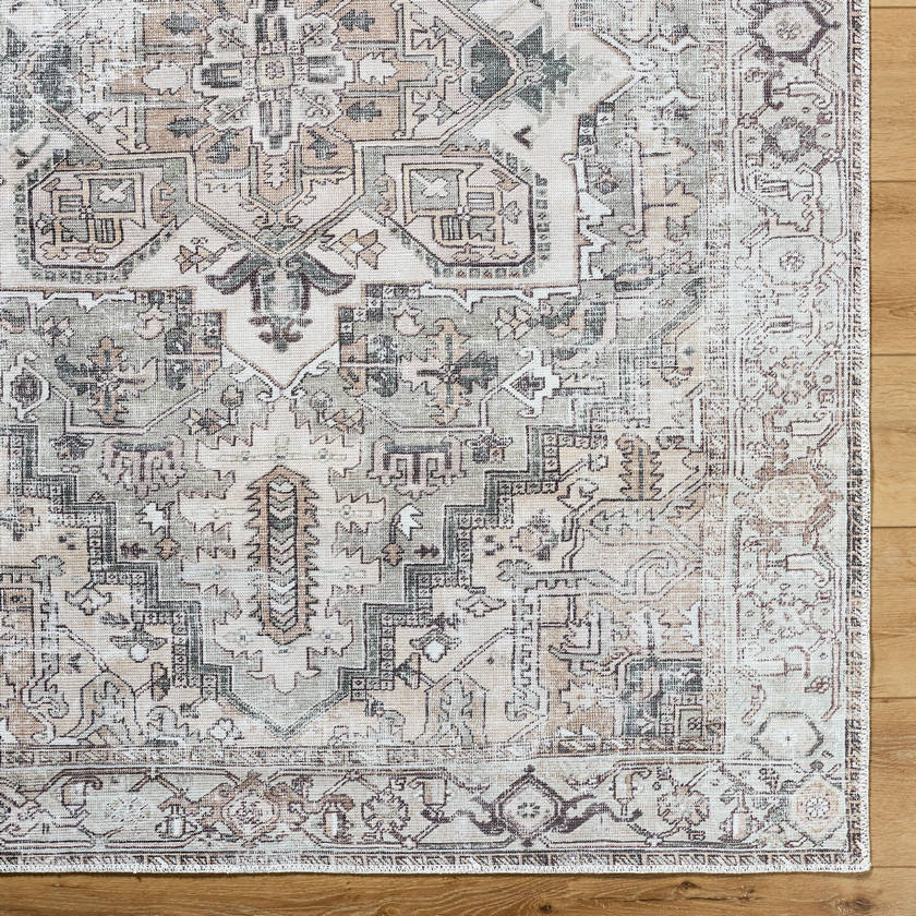 Tamea Traditional Medium Brown/Moss Area Rug