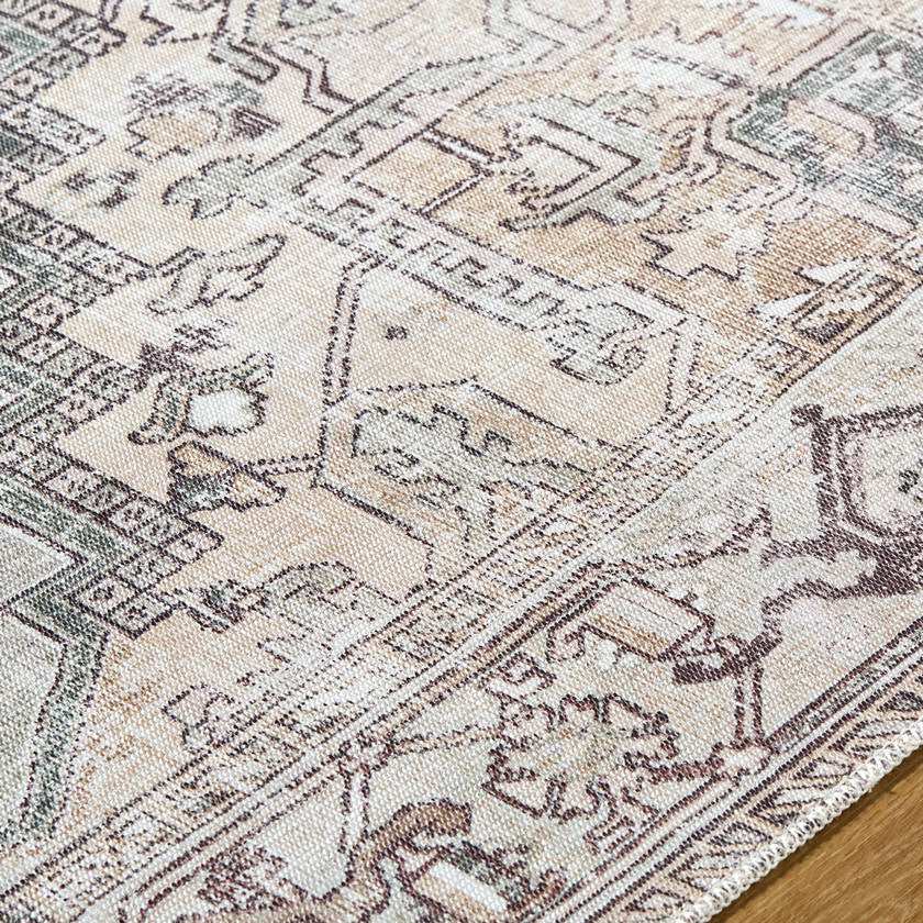 Tamea Traditional Medium Brown/Moss Area Rug