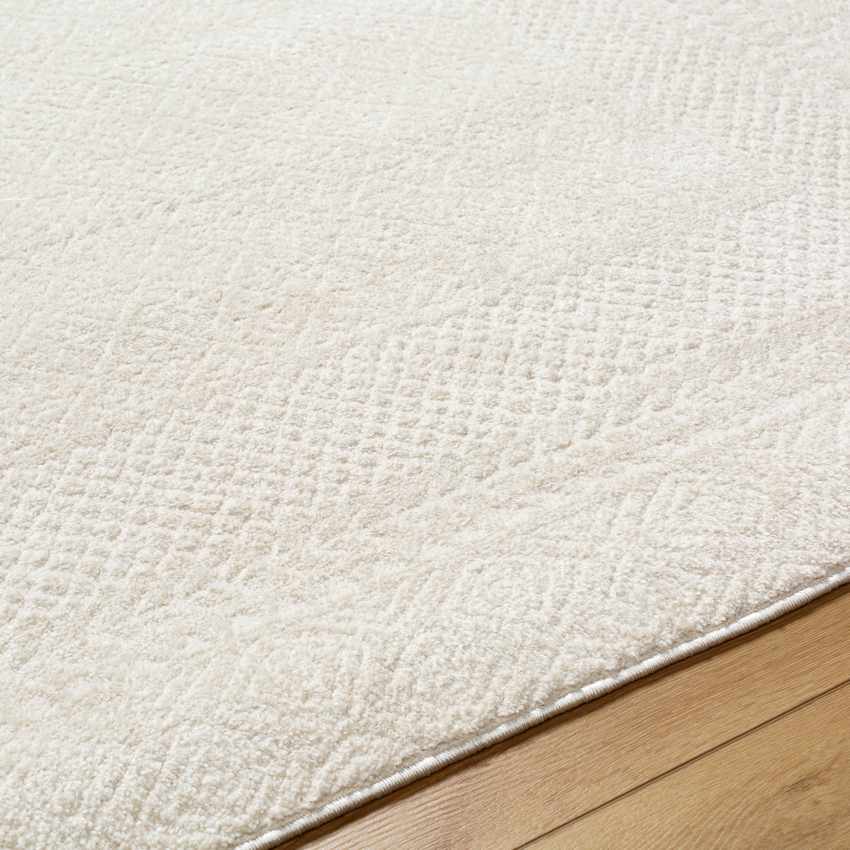 Vada Modern Ivory Off White Area Rug - Bright & Neutral