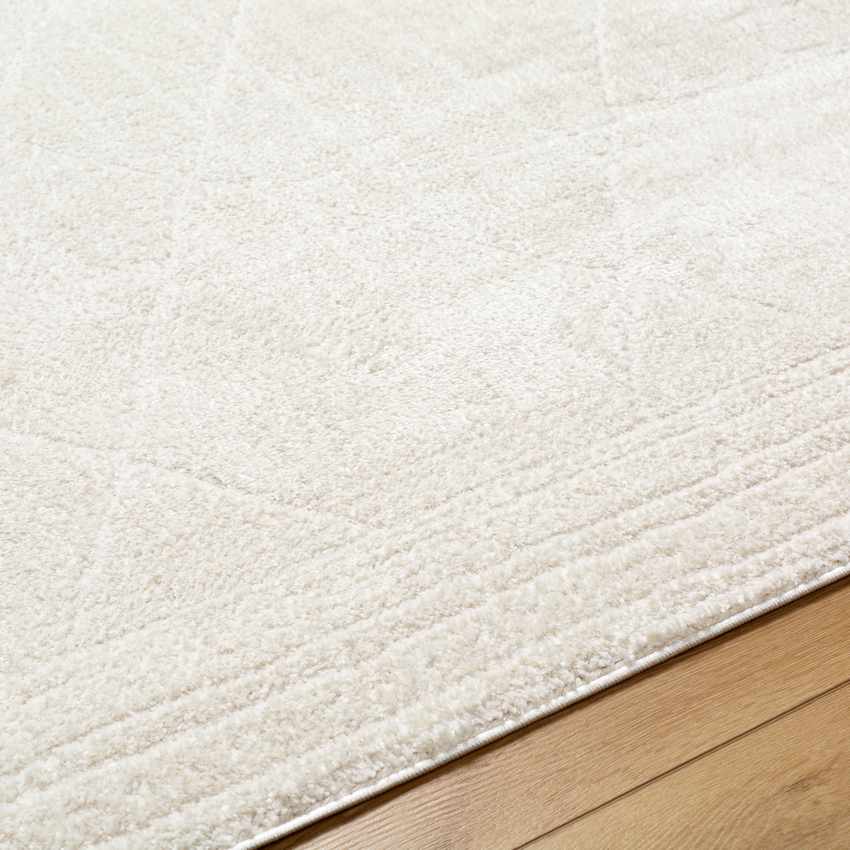 Josue Modern Ivory Off White Area Rug - Chic & Neutral