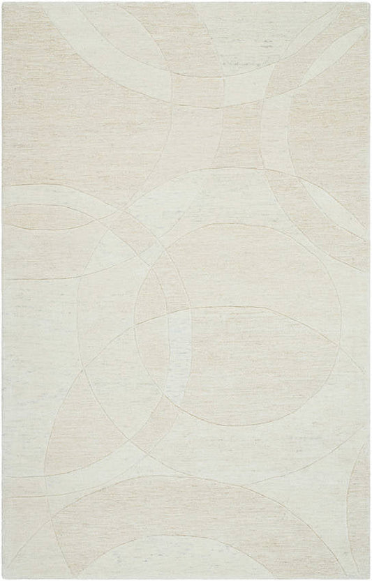 Besancon Modern Light Silver Area Rug