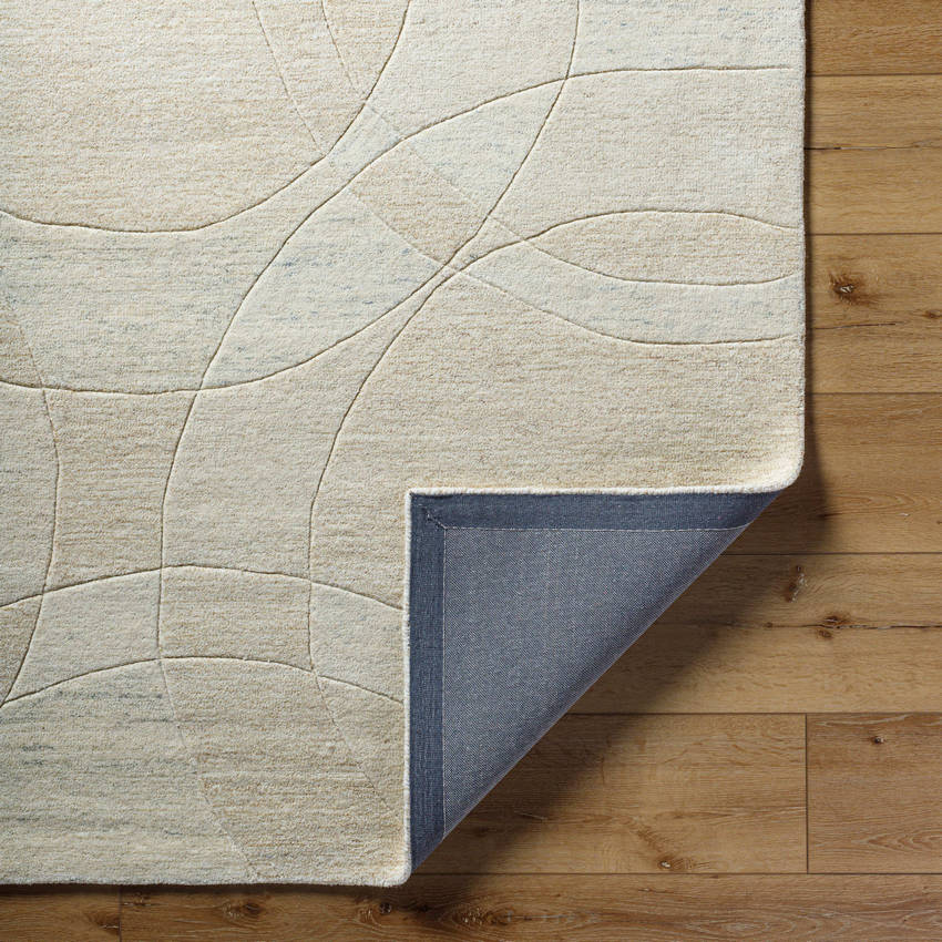 Besancon Modern Light Silver Area Rug